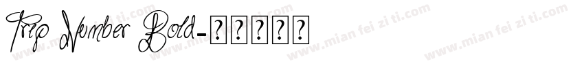 Trip Number Bold字体转换